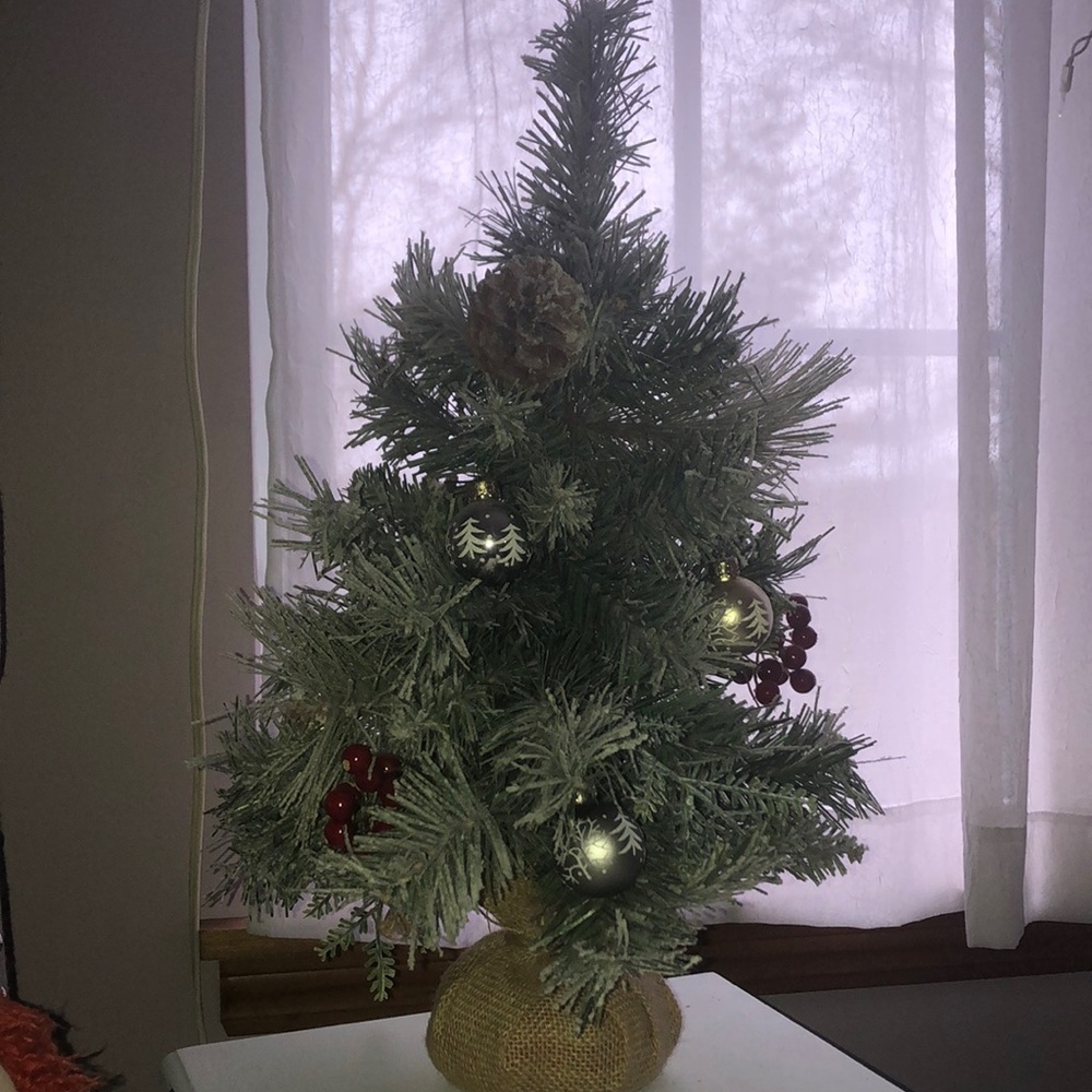 Christmas tree- mini ornaments included!
